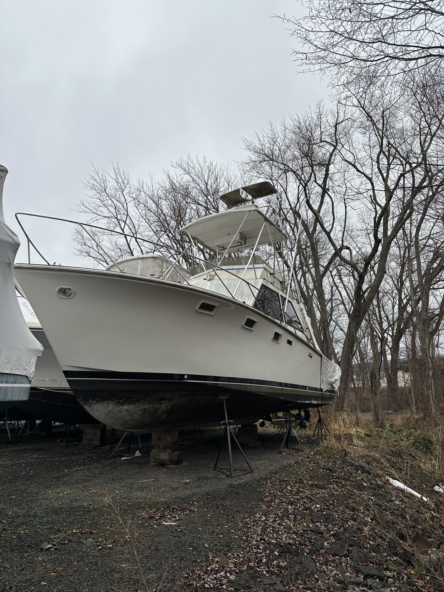 36', Pacemaker