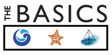 Blue Plan Basics