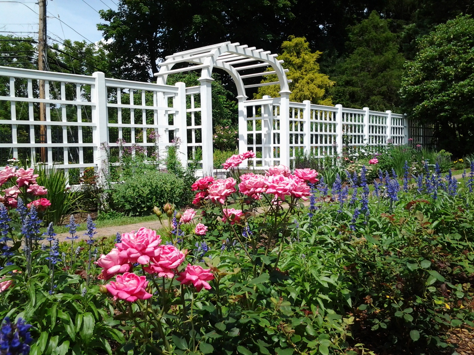 Rose Garden