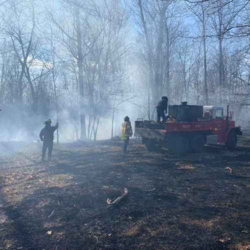 Brush Fire 