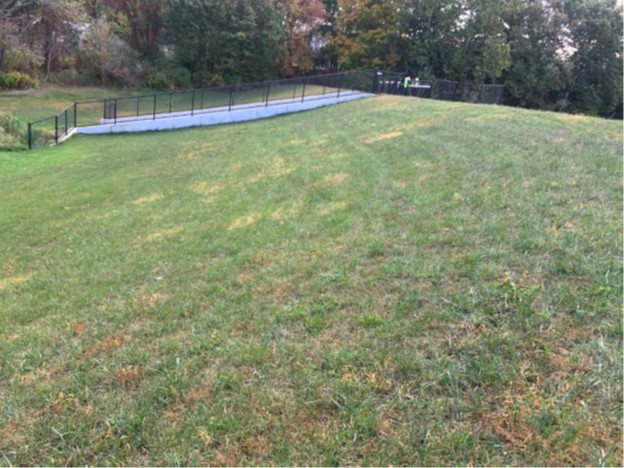 Dooley Pond Dam