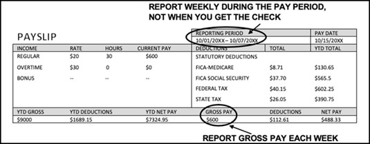 Sample Pay Stub Sample Pay Stub