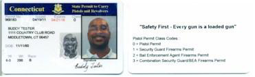 Permit to Carry Pistol or Revolver